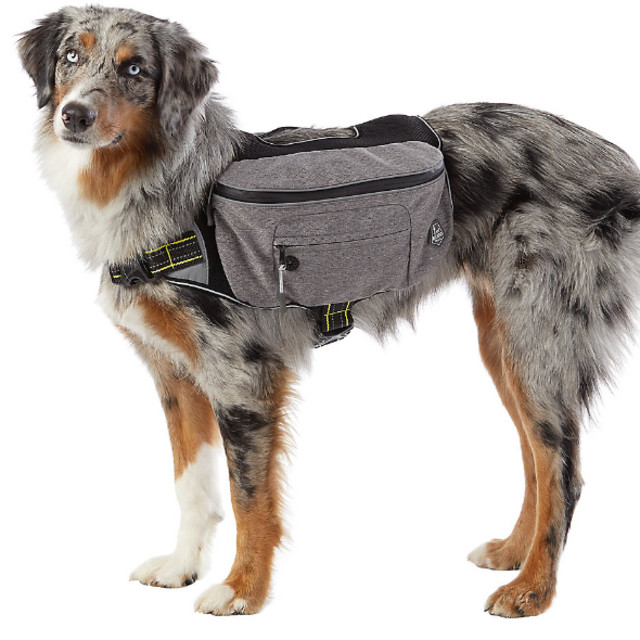 Arcadia Trail™ Packable Dog Backpack