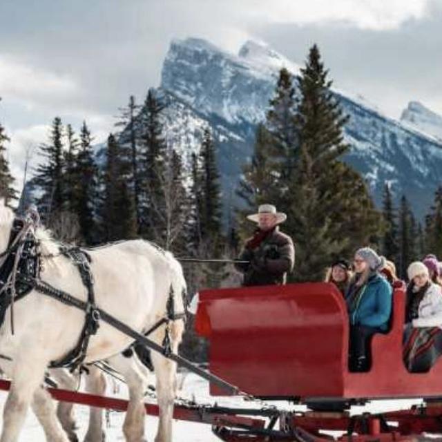 Horse-Drawn Sleigh Ride