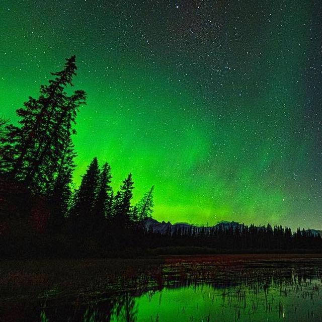 Northern Lights Tour