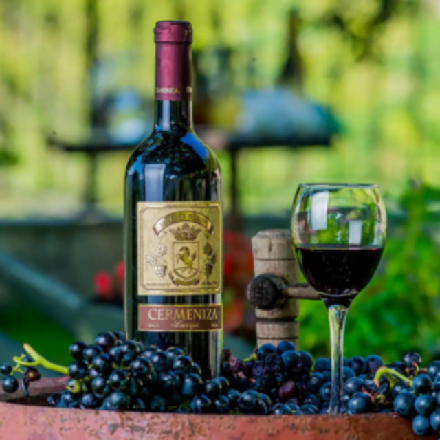 Wine experience at the Skadar lake
