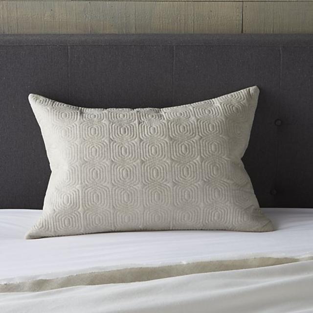 Bianca Lumbar Pillow Cover (Crate and Barrel)
