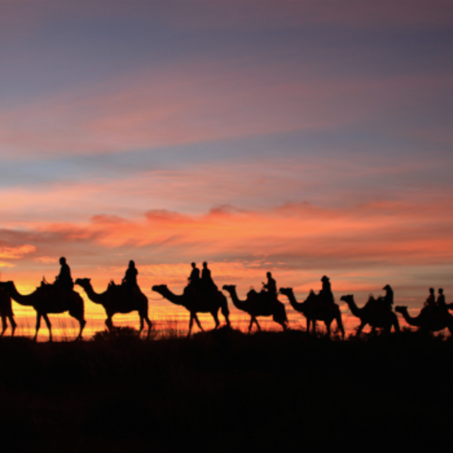 Sunset Camel Tour