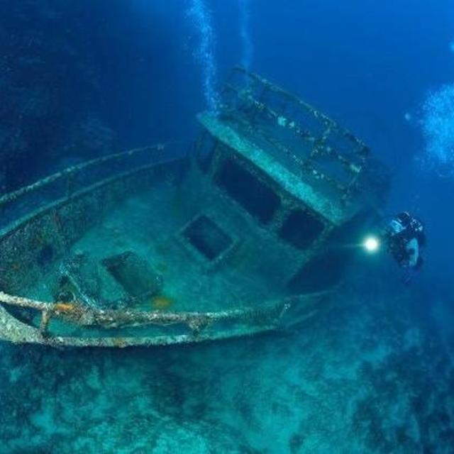 Honeymoon :: Wreck Tomislav Dive Excursion, Croatia