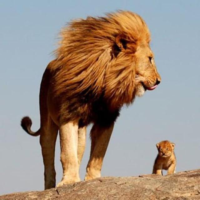 London Zoo
