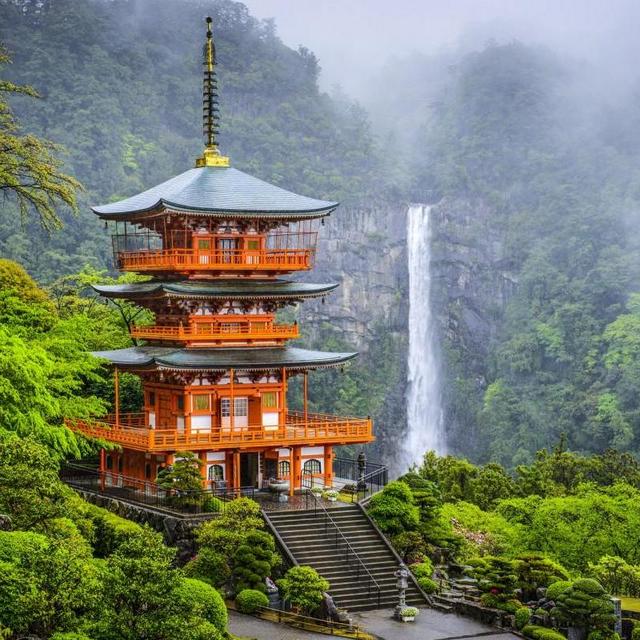 General Honeymoon Fund