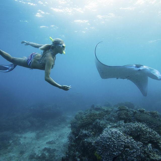 Snorkel with Manta Rays in Nusa Penida