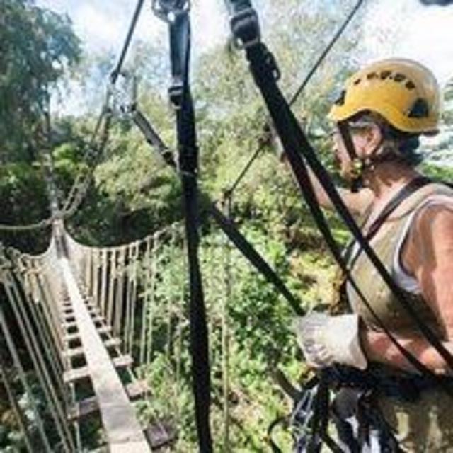 Zipline Adventure