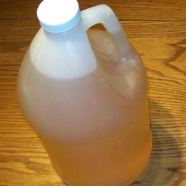 Unscented shampoo, fragrance-free shampoo.