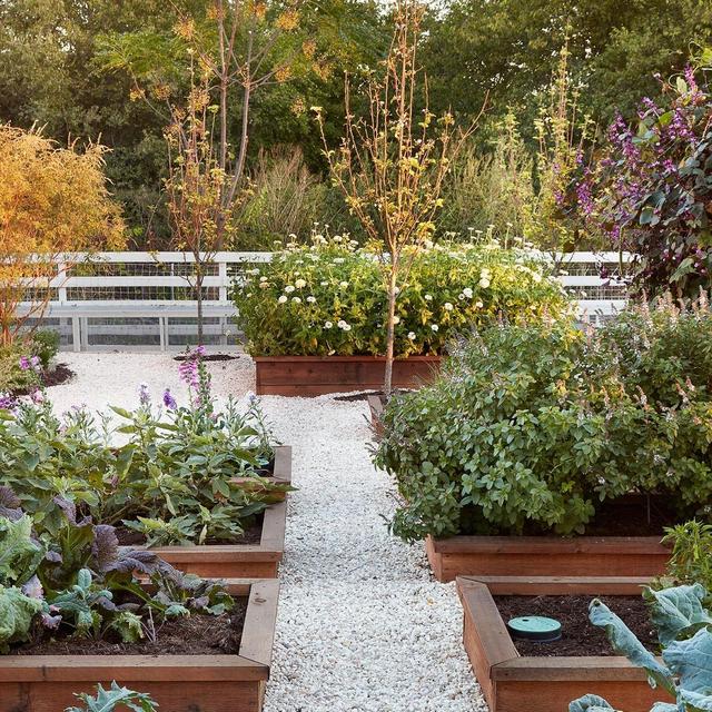 Urban Farm Fund-Raised Bed Fund