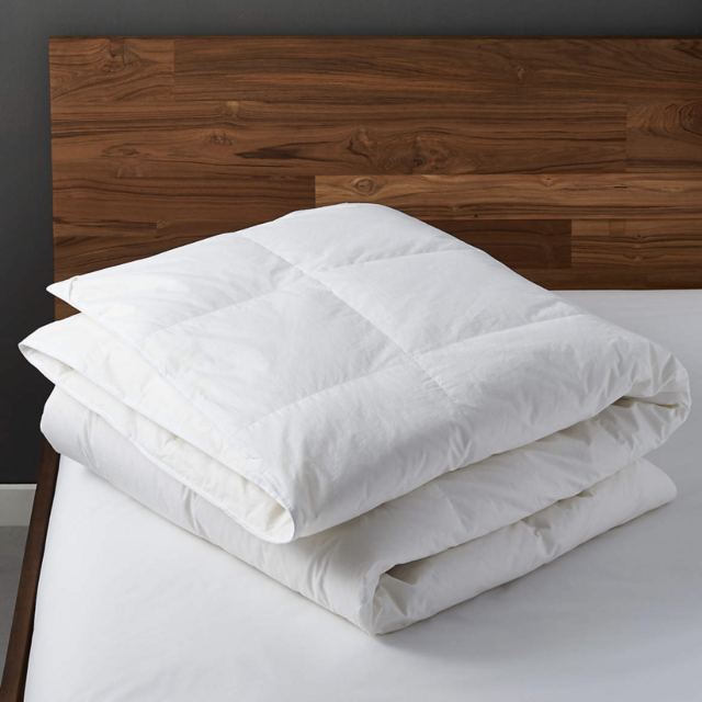 CB2, All Season Down King Duvet Insert