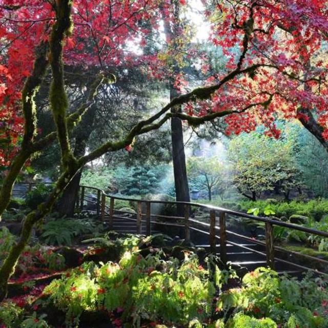 Admission to the Butchart Garden