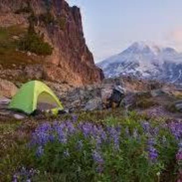 Hiking and Camping at Mount Rainier