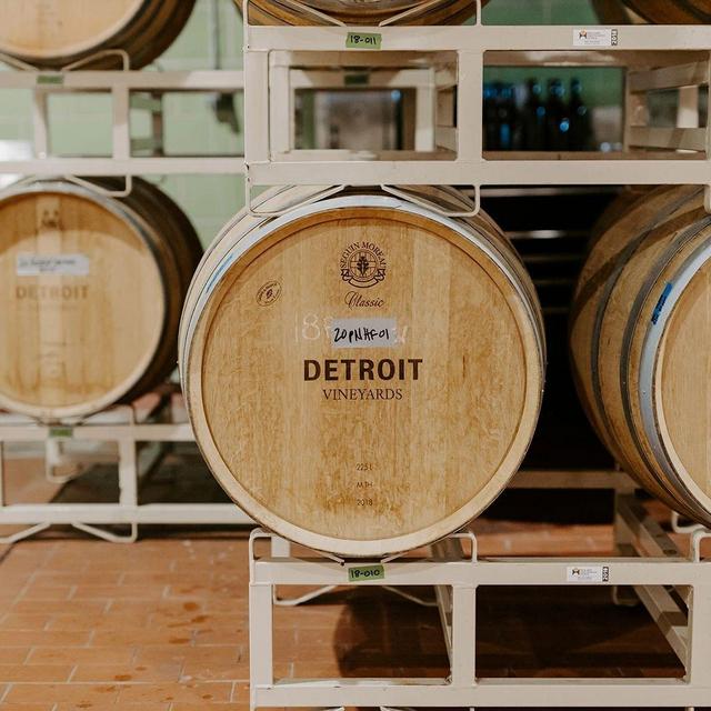 Wine Tasting and Tour Experience @ Detroit Vineyards
