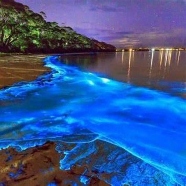 Luminous Lagoon Visit