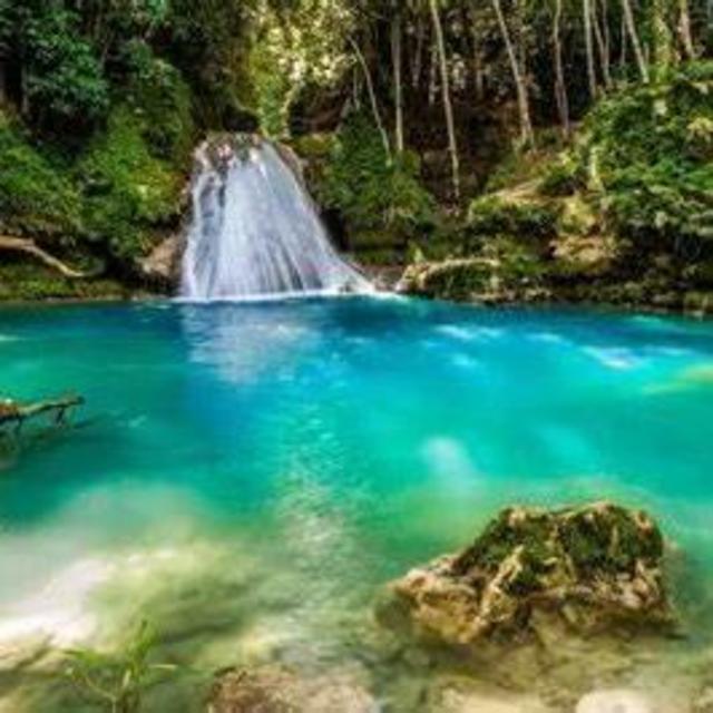 Dunns River Falls & Blue Hole Excursion