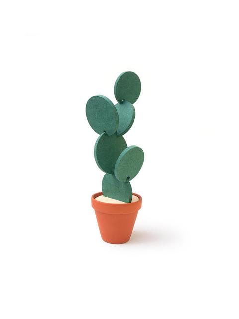 Cacti Coasters