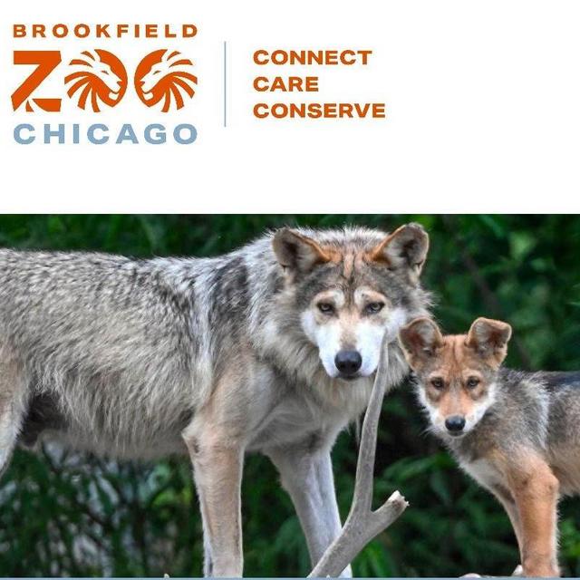 Brookfield Zoo ticket