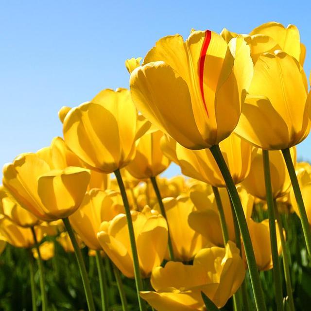 Mini Honeymoon Adventures & Meals in Florida