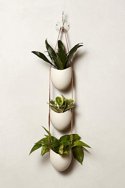Leather-Latched Wall Planter