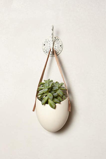 Leather-Latched Wall Planter