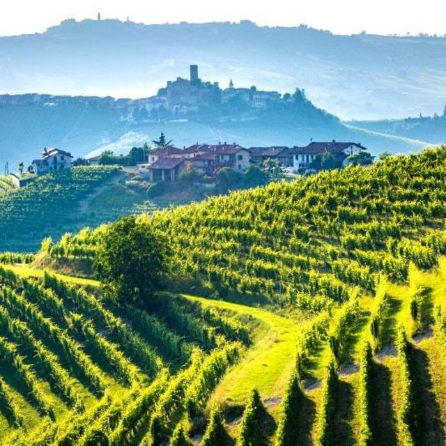 Florence Private Wine Tour