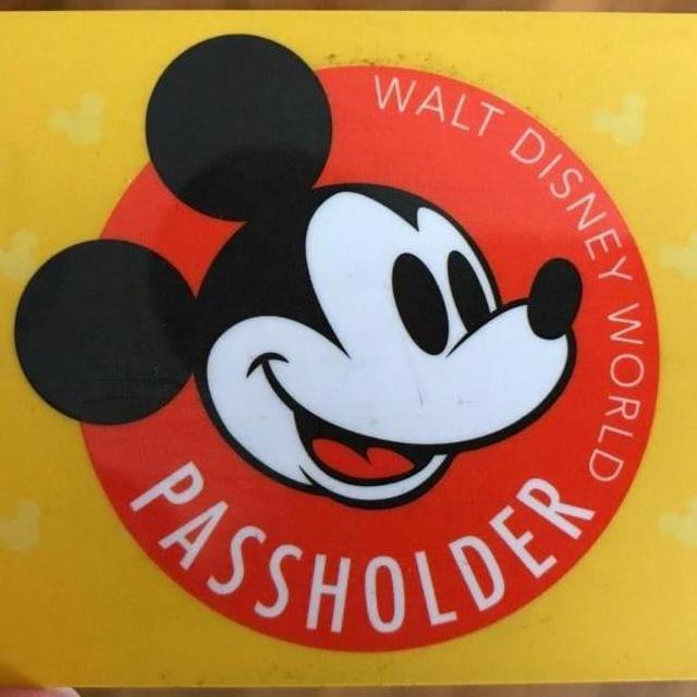 Disney Annual Passes!!!