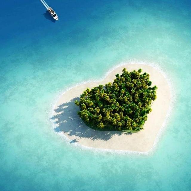 Honeymoon Fund