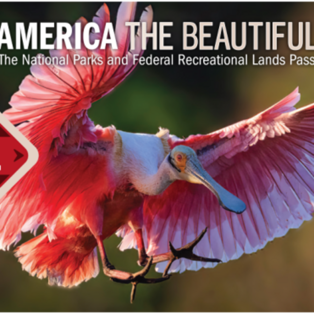 America the Beautiful Passes