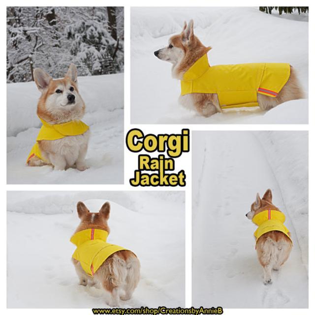 Corgi Rain Jacket - Size: Bob (Average); Color: Lime is Lovely or School Bus Yellow