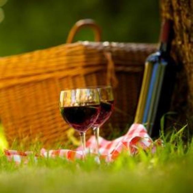 Anakena (Our winery) Picnic & Tour