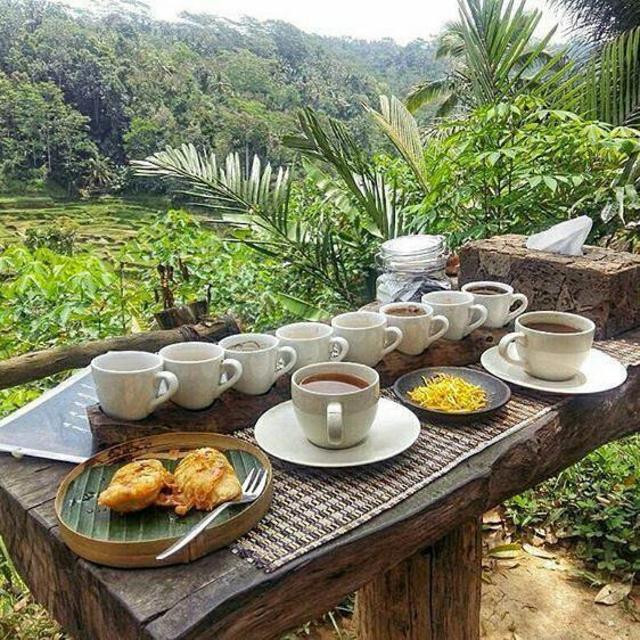Bali Coffee Plantation Visit