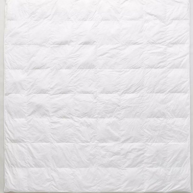 Anthropologie - Geneva Down Alternative Hypoallergenic Duvet Insert