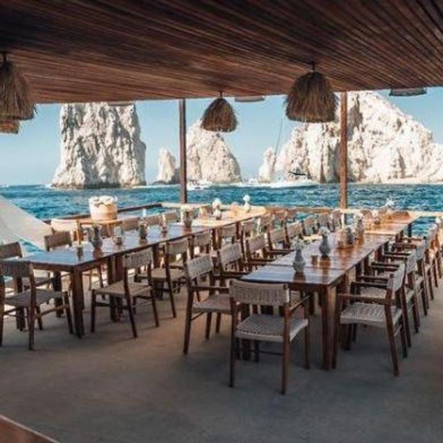 Animalón by the Sea