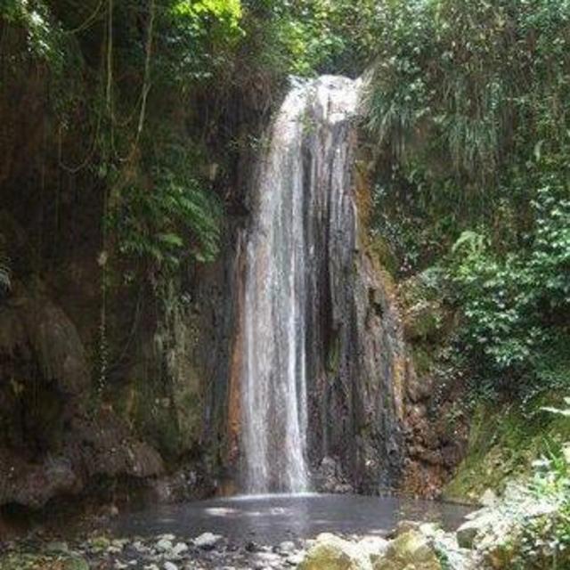 Private Best-of-St. Lucia Sulphur Spring and Waterfall Experience