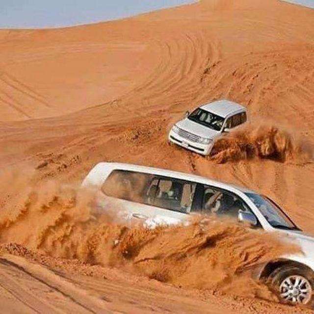 Half-Day Desert Safari + Camel Ride in Dubai