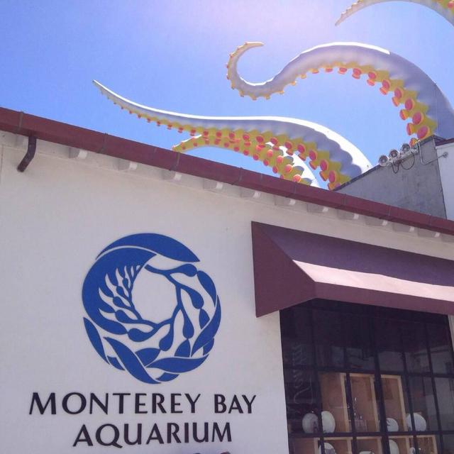 Monterey Bay Aquarium