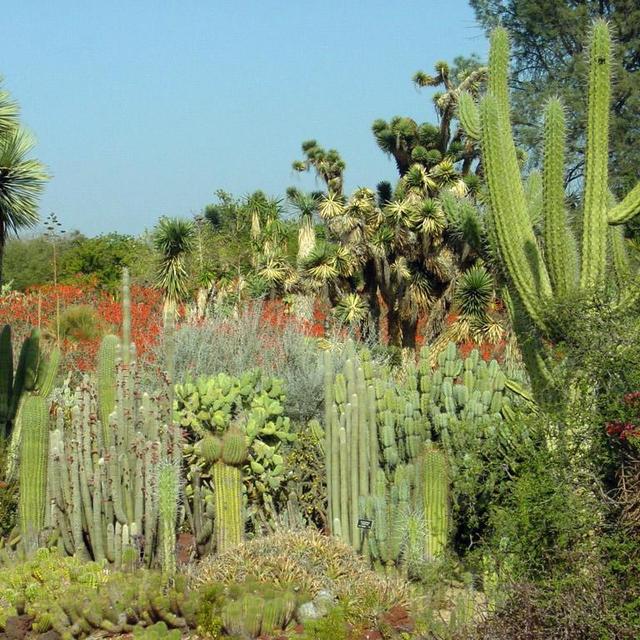 Huntington Gardens Membership