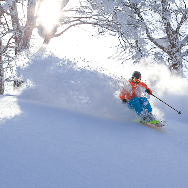 Skiing/Snowboarding in Nozawa Onsen (4 days)