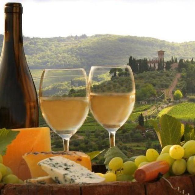 Italy Wine Tour