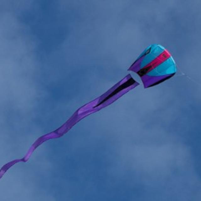 Prism Designs Bora 5 Single-Line Kite