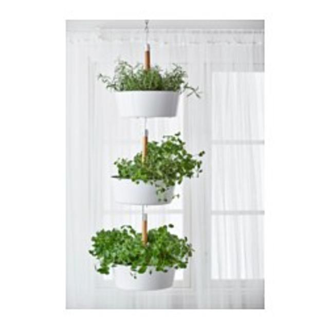 BITTERGURKA				Hanging planter, white