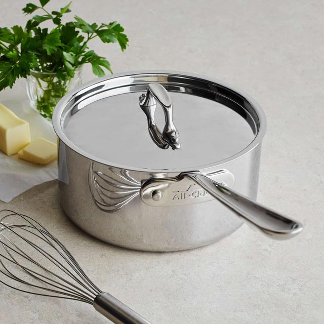All-Clad Stainless Steel Saucepans with Lids