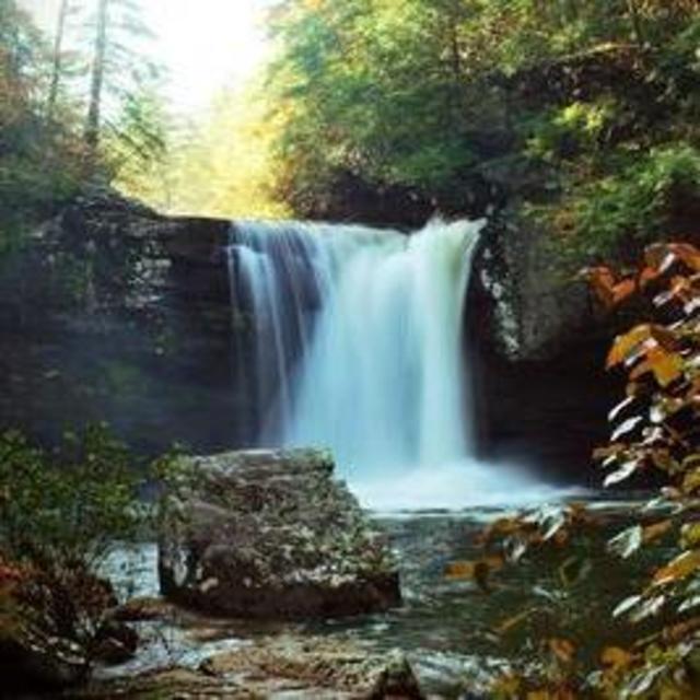 Savage Gulf backpacking trip