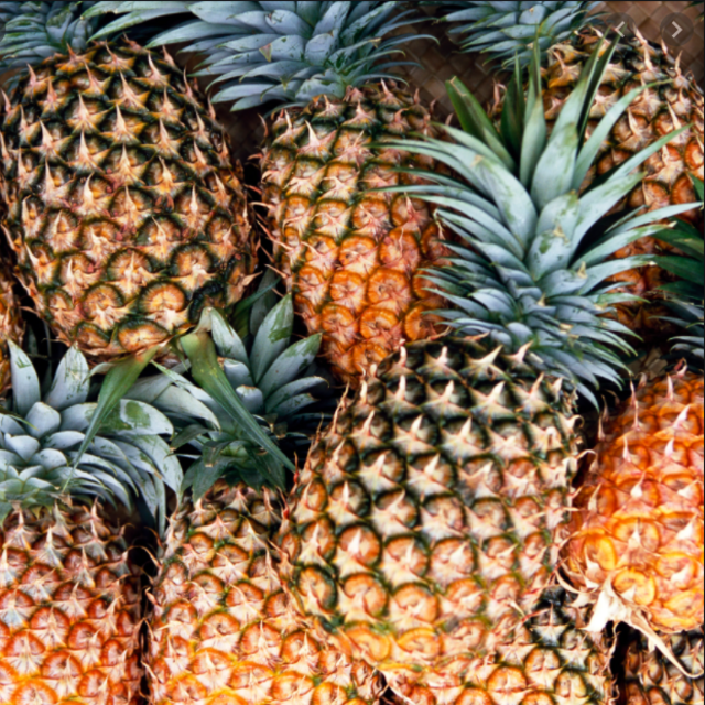 Pineapple farm and distillery tour