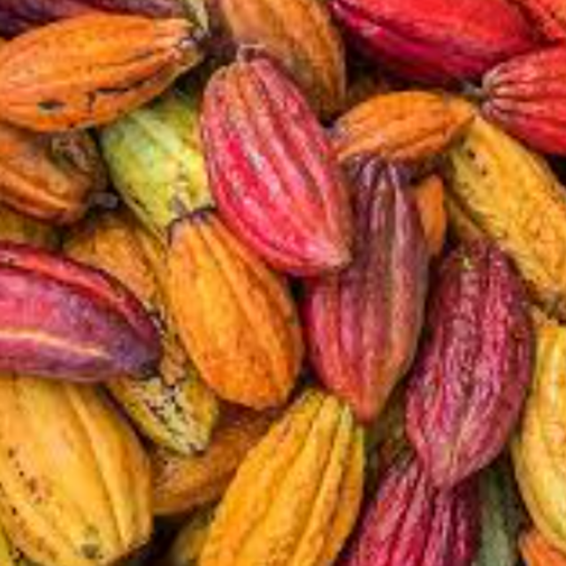 Lahaina Cacao Farm Tour and Chocolate Tasting