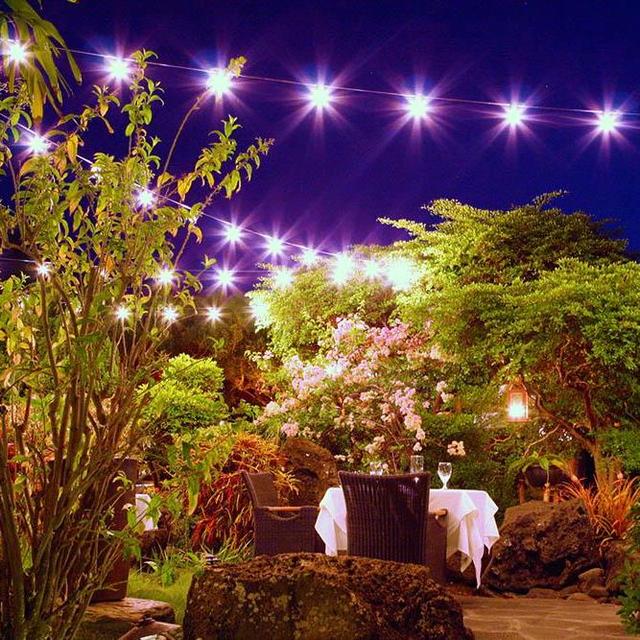 Dinner at Capiche? for Honeymoon