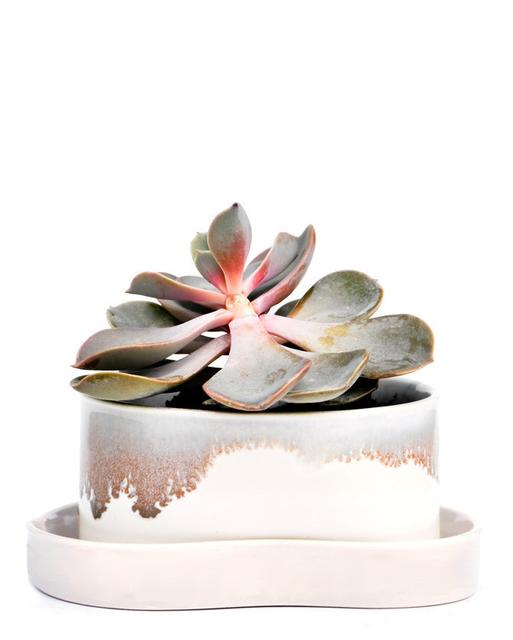 Pinched & Glazed Planter with Tray