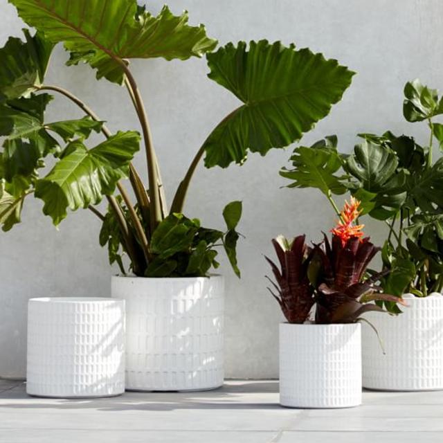 Grid Planter
