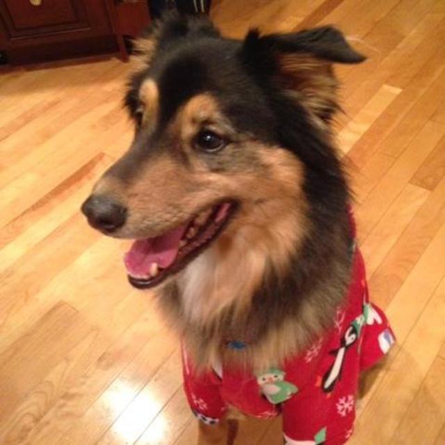 Great Lakes Humane Society Donation