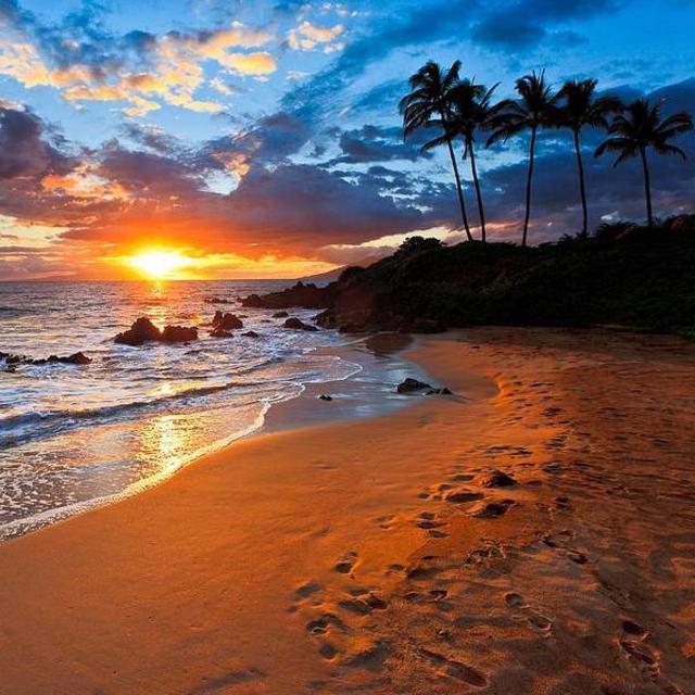 Hawaii Honeymoon Fund